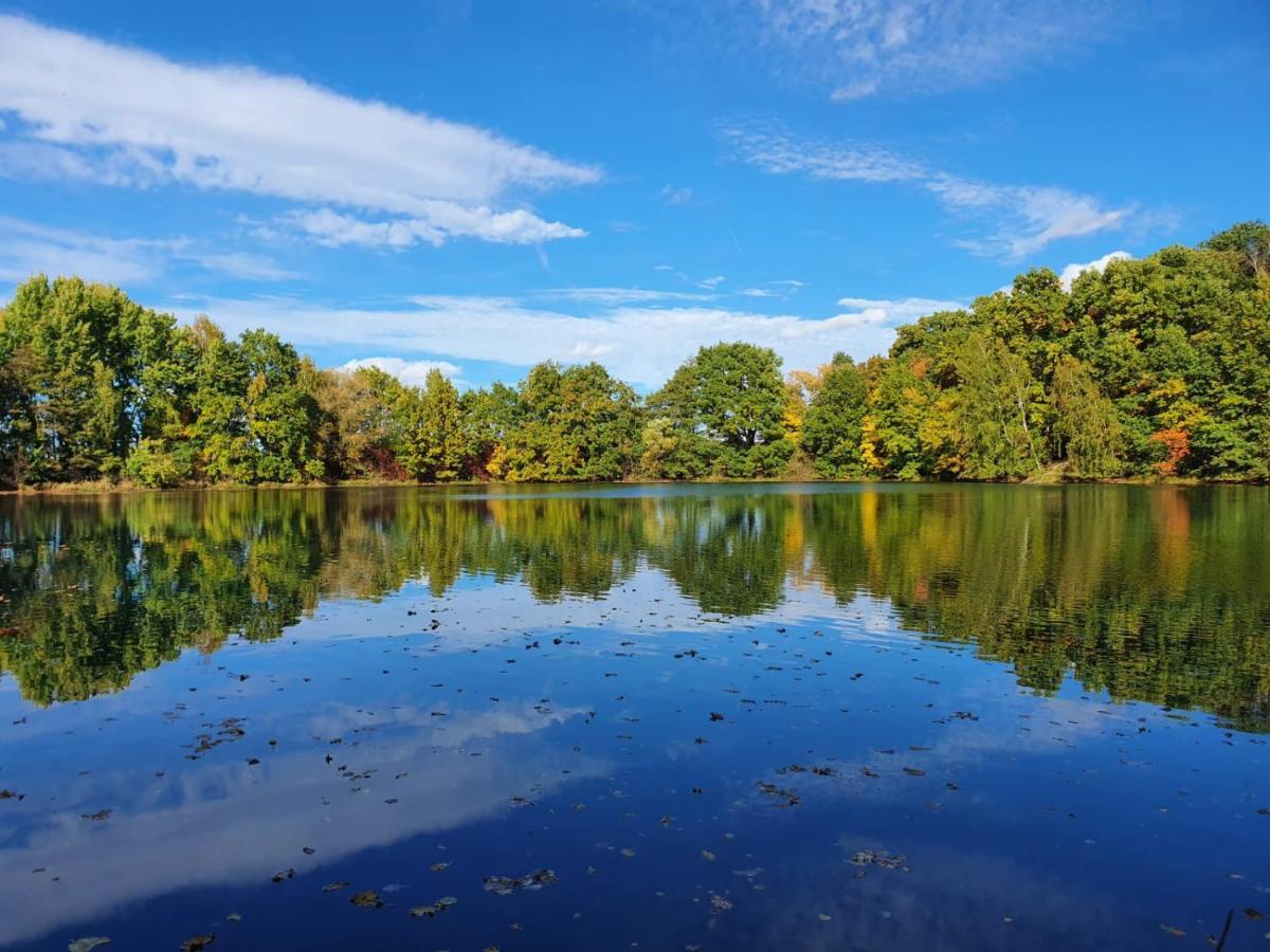 Ferienwohnung Am See Dillich - Eigener Garten - Ruhige Lage - Natur Vor Der Haustuer Borken  Esterno foto