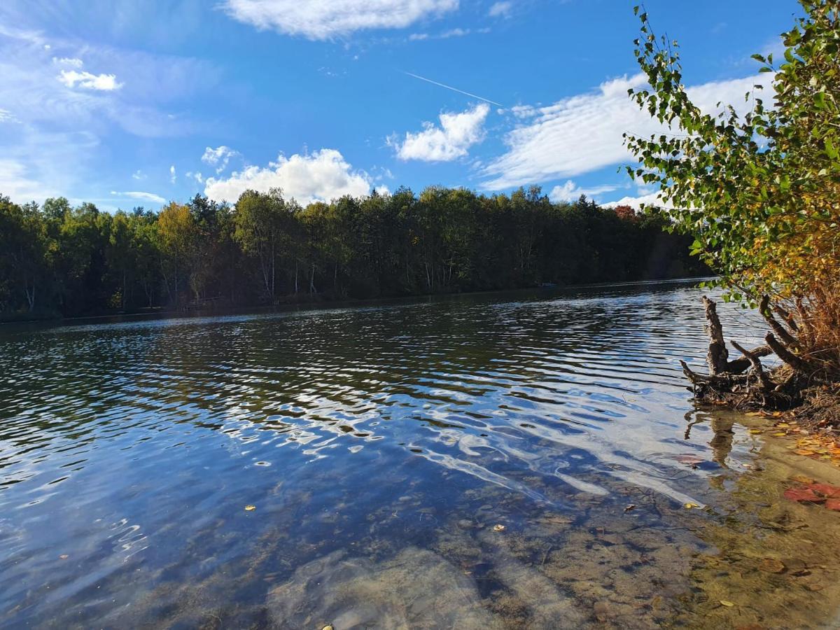 Ferienwohnung Am See Dillich - Eigener Garten - Ruhige Lage - Natur Vor Der Haustuer Borken  Esterno foto